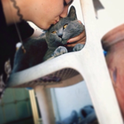 Profielfoto voor Erica M