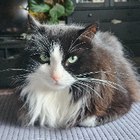 Profilbild für Lea K