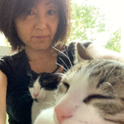 Avatar pour Noriko M