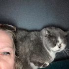 Profilbild für Andrea F
