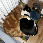 Profilbild für Ansgar  P