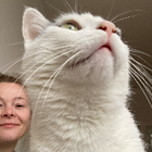 Profilbild für Laura L