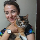 Profilbild für Cansu Y