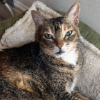 Avatar for Wing Shan (Sandy) L