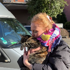 Profilbild für Sophie W