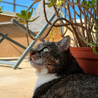 Avatar pour Marine F