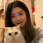 Profilbild für Xin H