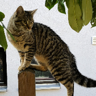 Profilbild für Dragan T