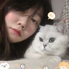 Profilbild für Jiangjiang J