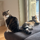 Profilbild für Fefe A