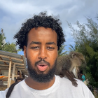 Avatar for Mohamed M