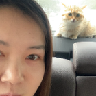 Profilbild für Xuan K