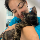 Avatar pour Laëtitia W