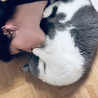Profilbild für Francesca C