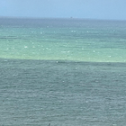 Avatar pour Amandine P