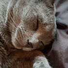 Profilbild für Mariana T