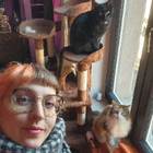 Avatar pour Adeline D