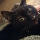 Profilbild für Ma F