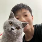 Avatar for Lok Yee F