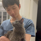 Profilbild für Haiqing Z