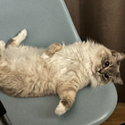 Profilbild für Jackson S