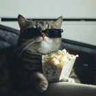 Profielfoto voor Ruolin G