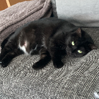 Profilbild für Nadja N