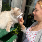 Profilbild für Kristina S