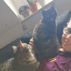 Avatar pour Victoire D