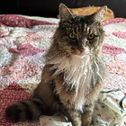 Avatar for Alexandra G