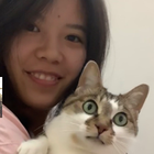 Profilbild für Peiwei D