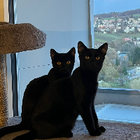 Profilbild für Catherine S