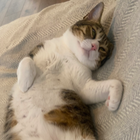 Avatar for Josephine (Jo) M