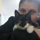 Profilbild für Dorothee D