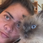 Profilbild für Maria Cinzia M