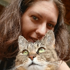 Profilbild für Vanessa H