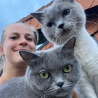 Profilbild für Lisa Marie S