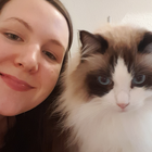 Profilbild für Lisa P