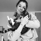 Profilbild für Kristina M