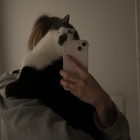 Profilbild für Lisa M
