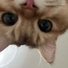 Profilbild für Helene W