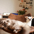 Profilbild für Ria H