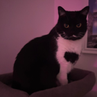 Profilbild für Antonio G