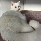 Profielfoto voor Jessica & Tiago M