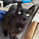 Profilbild für Sarah S