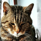 Profilbild für Natascha V