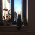 Profilbild für Nathalie N