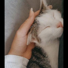 Profilbild für Jette A