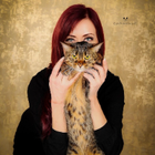 Profilbild für Martina N