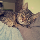 Profilbild für Lilli S